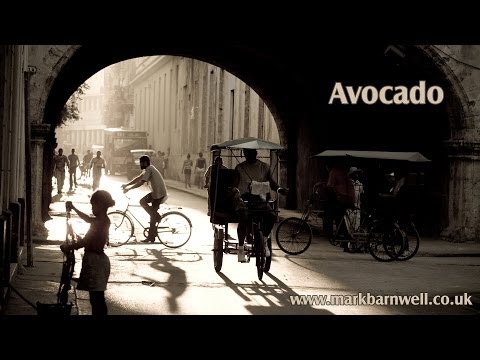 Latin / Salsa Spanish Guitar Music - Avocado (Mark Barnwell)