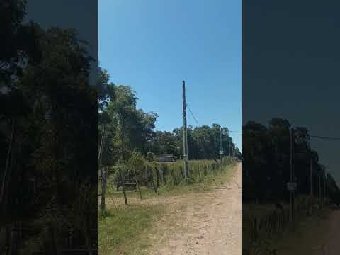 Cerro Chato . Videitos . Interior mega turbo profundo . Departamento de Paysandú 🇺🇾🇺🇾🇺🇾