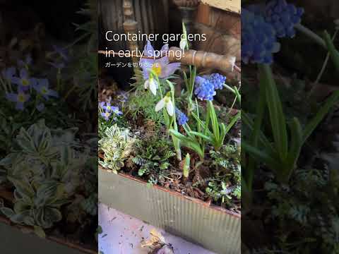 菜園コンテナを構築するにはどうすればよいですか?なぜコンテナでガーデニングをするのか？応援ビデオ  庭園