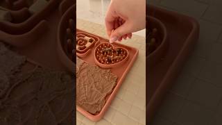 Enrichment mat for my cat!! 🎧#ragdollcat #enrichment #asmr #asmrsounds #catfood #catfeeding