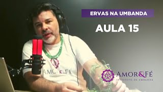 CURSO DE ERVAS NA UMBANDA | AULA 15 - ALFAZEMA