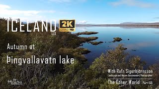 Iceland LIX – Autumn at Þingvallavatn lake │ Part 155