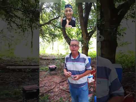 Pescaria dos amigos Robertinho Aventuras rio Capivari interior SP #shot #pesca #nature