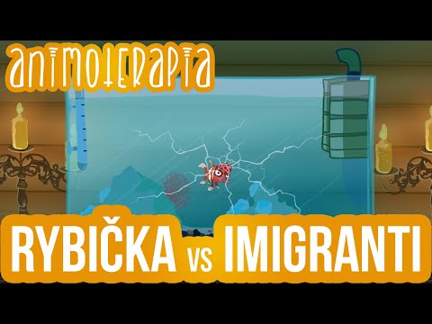 Animoterapia - 13 : Rybička vs. Imigranti