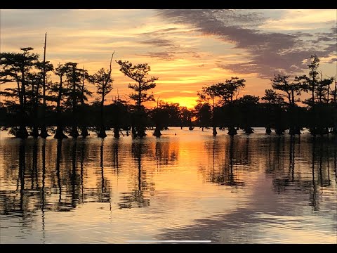 image-What's the deepest part of Reelfoot Lake?