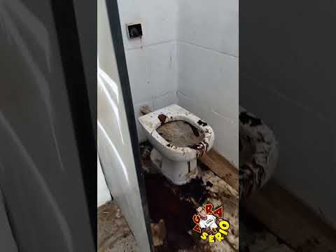 VENHA CONHECER JUQUITIBA E VOMIT MIT VOMIT MUNICÍPIO DE INTERESSE DO VOMITO BANHEIROS PÚBLICOS DA CIDADE
