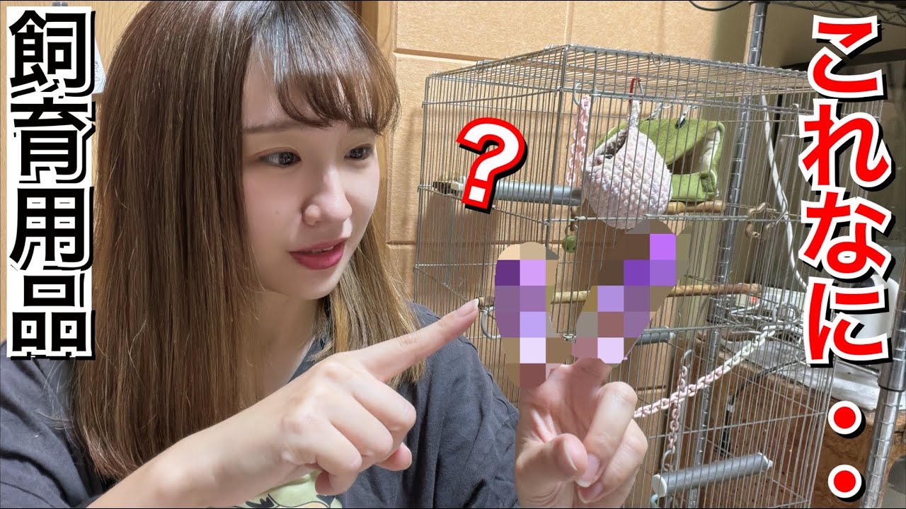 ペットショップでヤバい商品を見つけて購入したら大変な事になりました