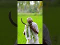 Pachani Chilukalu Thodunte Bharateeyudu Kamalahasan Kasturi Naturelovers Love