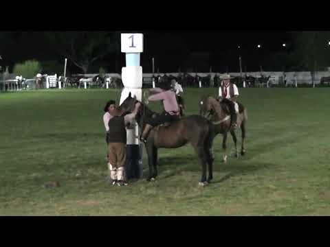 Cat.bastos LOS CONQUISTADORES , ENTRE RÍOS