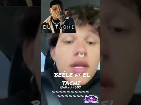 el tachi musica nueva belee