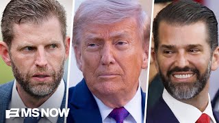 Is this White House for sale? WSJ: Dems call for hearings into $500M Trump deal with Emirati royal