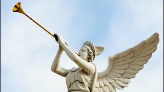 Confirmation:Dream-The Locust And The Soldiers In Black