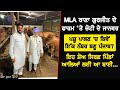 ਵੇਖੋ MLA Rana Gurjit ਦੇ ਫਾਰਮ ਤੇ ਚੋਟੀ ਦੇ ਜਾਨਵਰ Best Dai