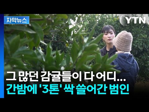 아이콘
