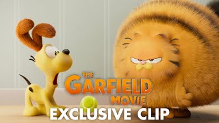 The Garfield Movie (2024) Video