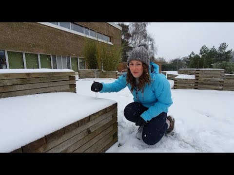 image-How do you measure snowfall?