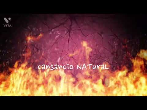 Claudia Moon      Singular                                 Autor : Horacio Luzzi