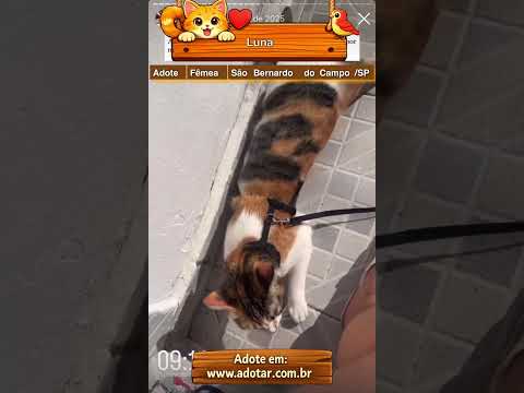 Vídeo de Luna