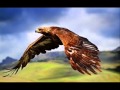 Sky Is The Limit By Bctbikers