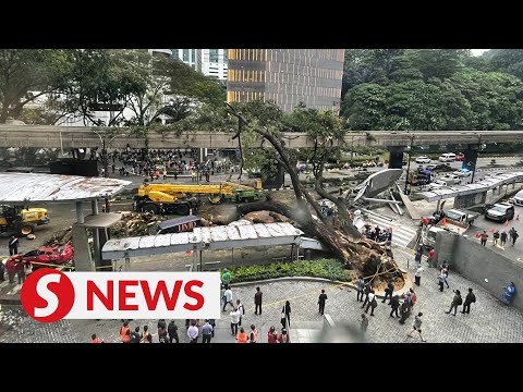 Traffic on Jalan Sultan Ismail diverted as fallen tree being cleared