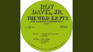 Acid Bass (Original Mix)