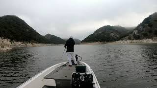 Duo Realis G87 20A and Realis Nomase Wakasagi 7/17/20