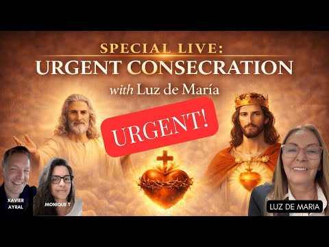 🚨 DO YOUR CONSECRATION TONIGHT WITH LUZ | BEFORE FEB 28