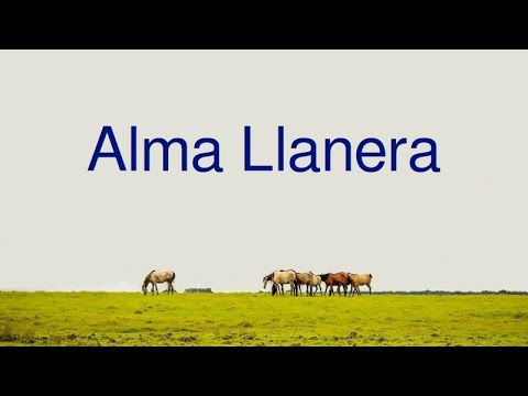 Alma Llanera Instrumental