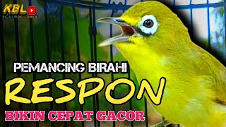 Download lagu CIAK CIAK JOSS KECIAL KUNING AMPUH||PANCINGAN KECIAL MALAS BUNYI|| mp3 Download lagu CIAK CIAK JOSS KECIAL KUNING AMPUH||PANCINGAN KECIAL MALAS BUNYI|| mp3