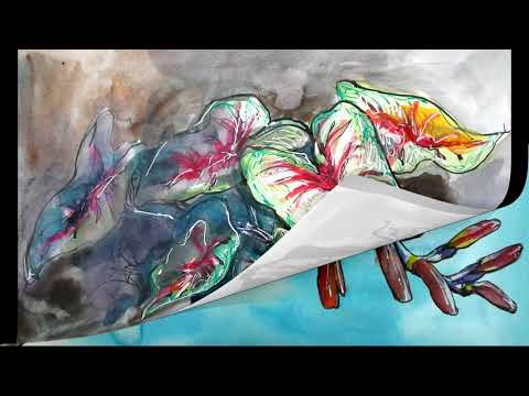 Dog Days of August at The Illustrated Egg