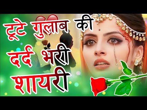 Tute Gulab Ki Shayari | Gulab Shayari | Hindi Shayari | Shayari | टूटे गुलाब की शायरी 2023