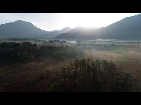 2018年5月29日　朝霧の戦場ヶ原