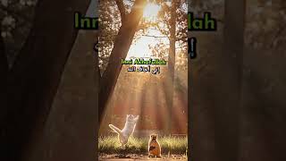 Download lagu SESUNGGUHNYA AKU TAKUT KEPADA ALLAH #shorts mp3
