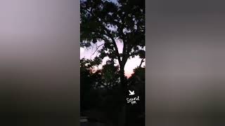 Quedatl - Lola Club  video clip