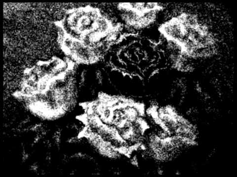 Traum'er Leben :Traumerleben