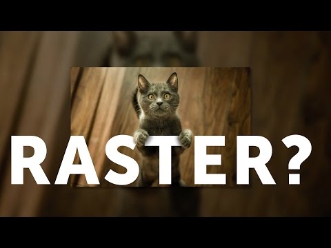 What is a raster image?