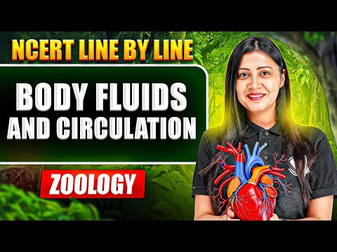 Body Fluids and Circulation FULL CHAPTER || NCERT Line by Line || Tulika Mam