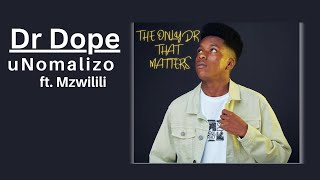 Download lagu Dr Dope - uNomalizo (ft. Mzwilili) |  Audio mp3