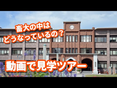畜大の中はどうなっているの？動画で大学見学ツアー