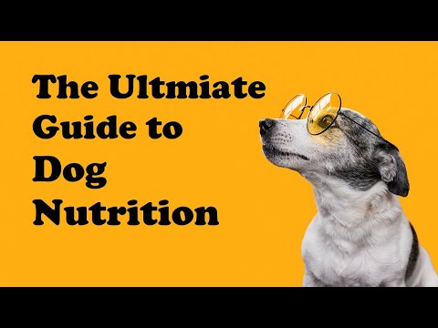 The Ultimate Guide to Dog Nutrition: Feeding Your Furry Friend Right #DogNutrition #DogCare #Dogfood