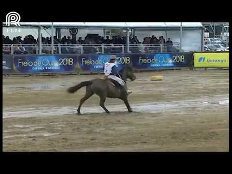 Aberta de Esteio (RS) – 6° lugar machos – Facon do Capão Redondo (Prova: Bayard/Sarmento)