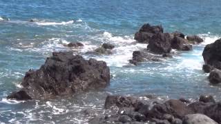 preview picture of video 'Canico Reis Magos + Ponta da Oliveira, Madeira'