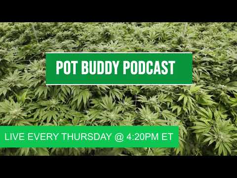 BEST MARIJUANA--CANNABIS TERROIR  With Warren Bobrow [Episode 40]