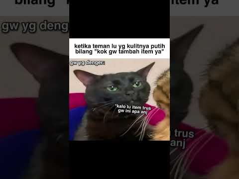 ada ada aja82#indonesia#memes#mindset#lifestyle#facts#family#masakecilku#funny#jokes#ngakak