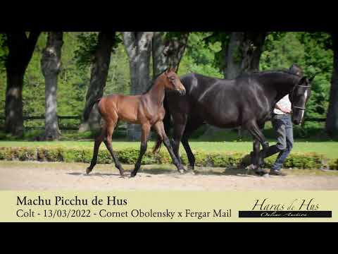 Machu Picchu de Hus (Video)