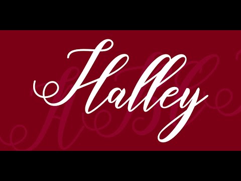 TY NICCAR BEATS  -   HALLEY freestyle { Part 1 }official video