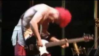 Red Hot Chili Peppers Budokan 2000 - My Lovely Man