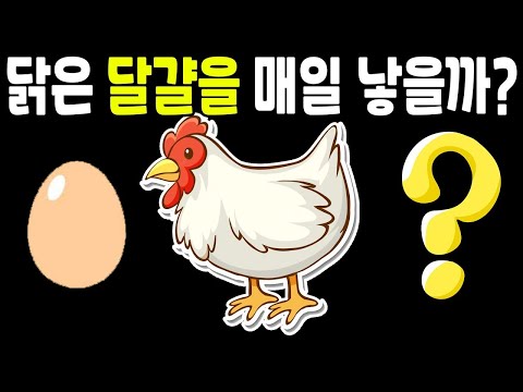 , title : '닭은 달걀을 하루에 몇개 낳을까?'