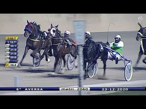 Aversa trotto 23 Dicembre 2020 - 6° Corsa