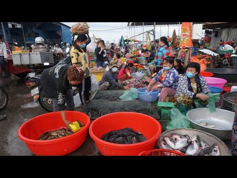Morning Fish Market Scene @Khan Prek Phnov - Walk Around Phsa Trey Nearly Prek Phnov Bridge